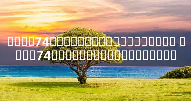 ����74������������������ ����74������������������